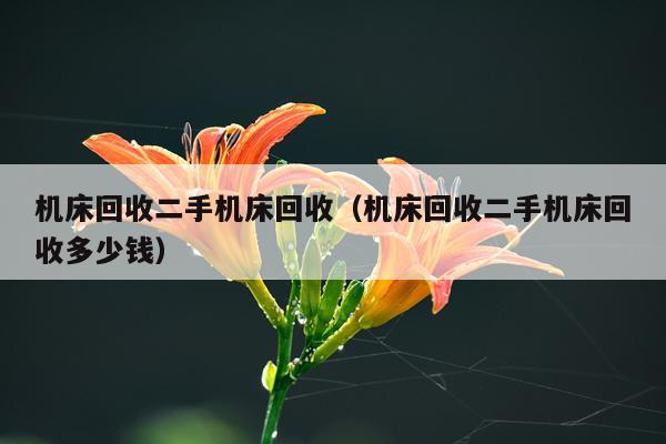 机床回收二手机床回收（机床回收二手机床回收多少钱）