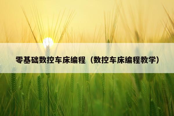 零基础数控车床编程(数控车床编程教学)