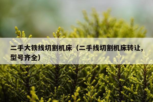 二手大铁线切割机床（二手线切割机床转让,型号齐全）