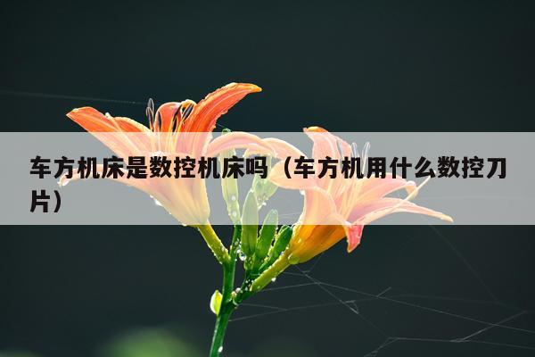车方机床是数控机床吗（车方机用什么数控刀片）