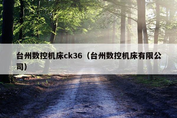 台州数控机床ck36（台州数控机床有限公司）