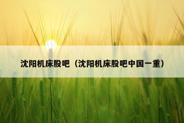 沈阳机床股吧（沈阳机床股吧中国一重）