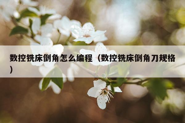 数控铣床倒角怎么编程(数控铣床倒角刀规格)