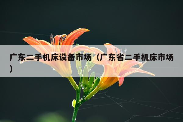 广东二手机床设备市场（广东省二手机床市场）