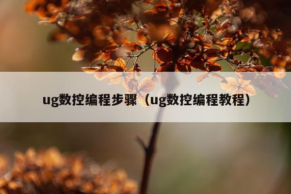 ug数控编程步骤(ug数控编程教程)
