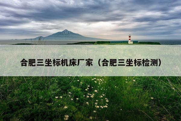 合肥三坐标机床厂家（合肥三坐标检测）