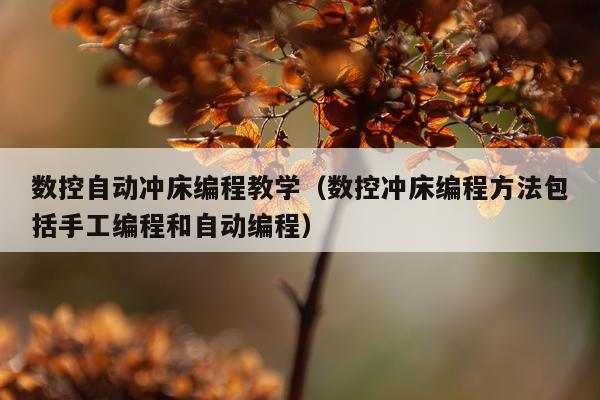 数控自动冲床编程教学（数控冲床编程方法包括手工编程和自动编程）