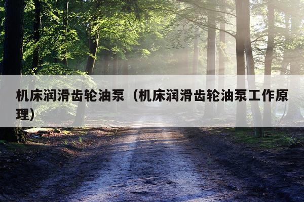 机床润滑齿轮油泵（机床润滑齿轮油泵工作原理）