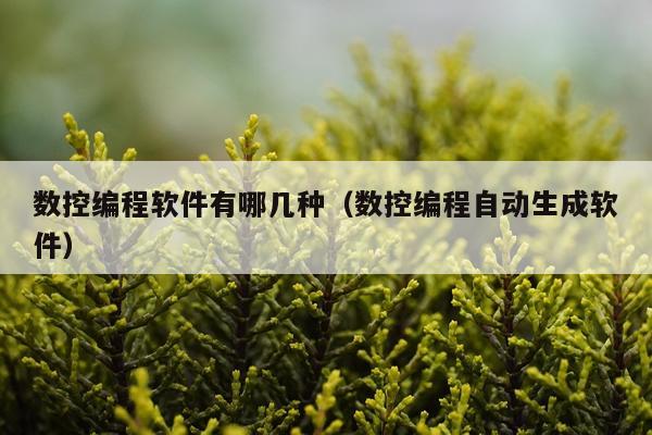 数控编程软件有哪几种（数控编程自动生成软件）