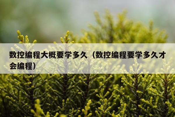 数控编程大概要学多久（数控编程要学多久才会编程）