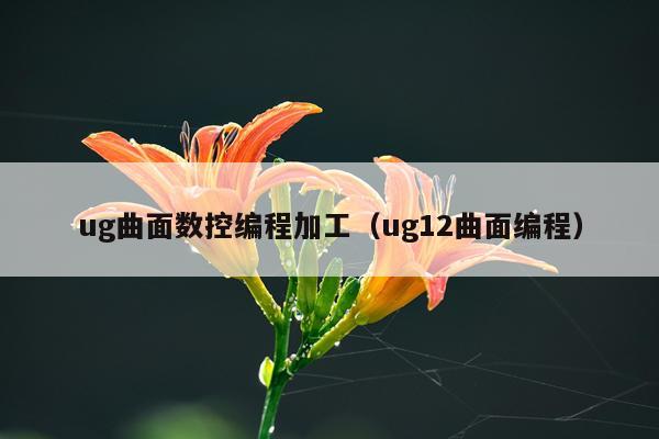 ug曲面数控编程加工（ug12曲面编程）