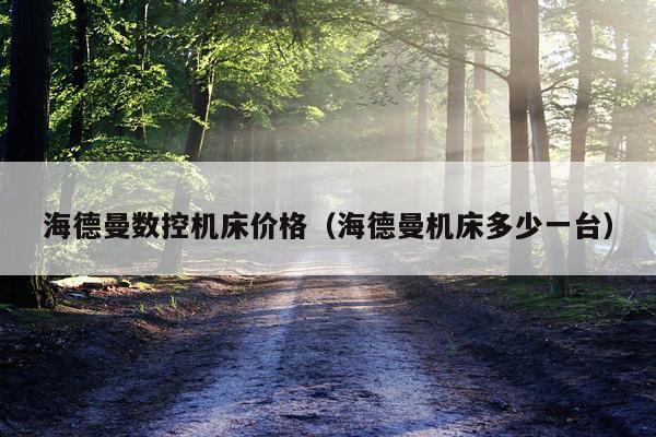 海德曼数控机床价格（海德曼机床多少一台）