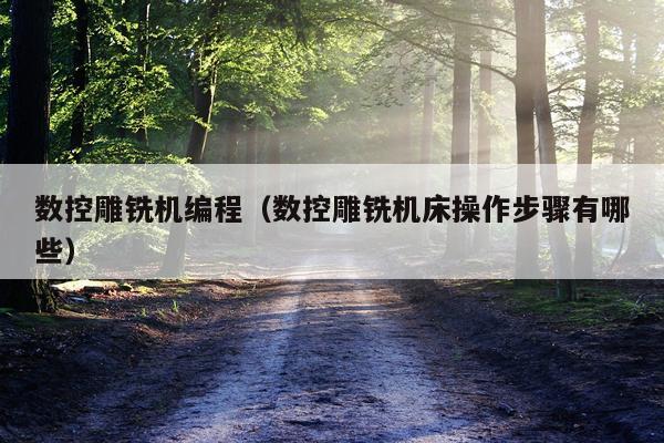 数控雕铣机编程（数控雕铣机床操作步骤有哪些）