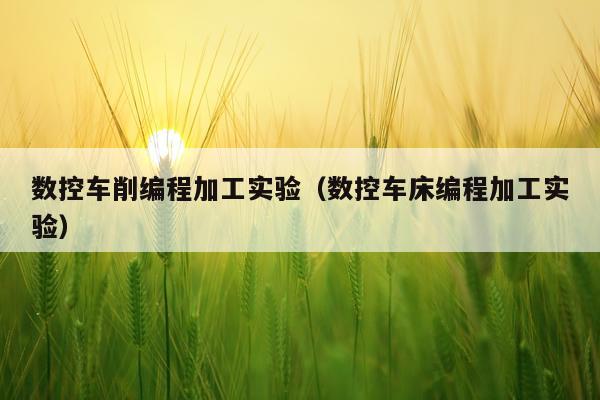 数控车削编程加工实验（数控车床编程加工实验）