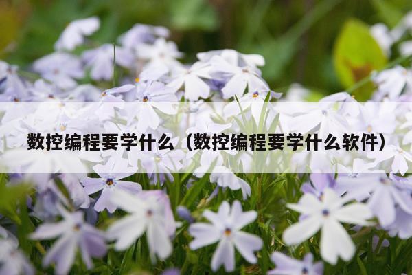 数控编程要学什么（数控编程要学什么软件）