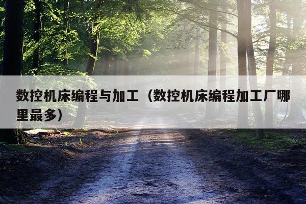 数控机床编程与加工（数控机床编程加工厂哪里最多）