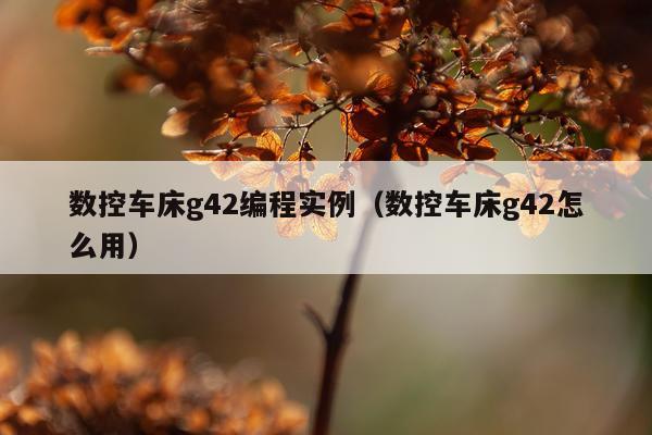 数控车床g42编程实例（数控车床g42怎么用）