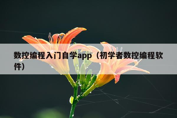 数控编程入门自学app(初学者数控编程软件)