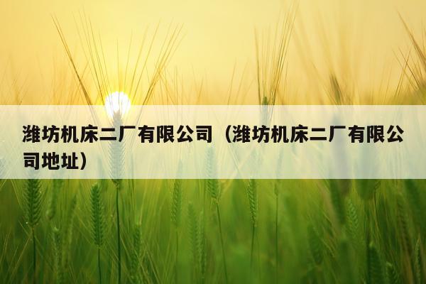 潍坊机床二厂有限公司（潍坊机床二厂有限公司地址）