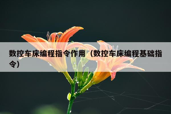 数控车床编程指令作用(数控车床编程基础指令)