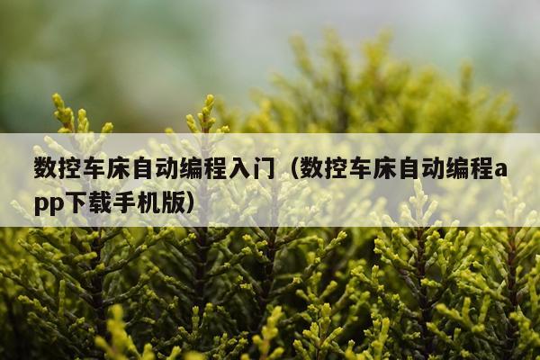 数控车床自动编程入门(数控车床自动编程app下载手机版)