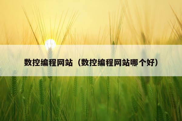 数控编程网站(数控编程网站哪个好)