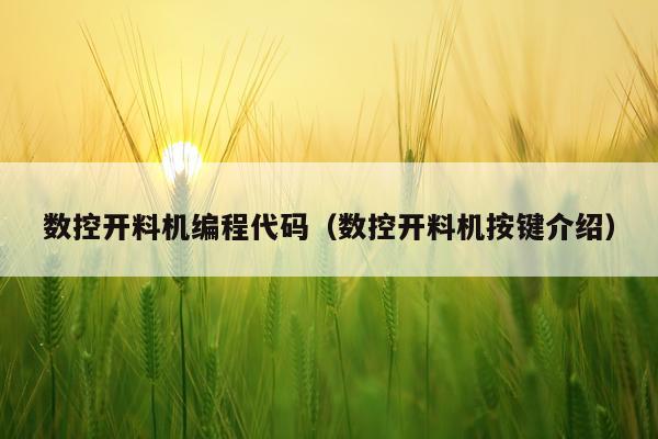 数控开料机编程代码（数控开料机按键介绍）