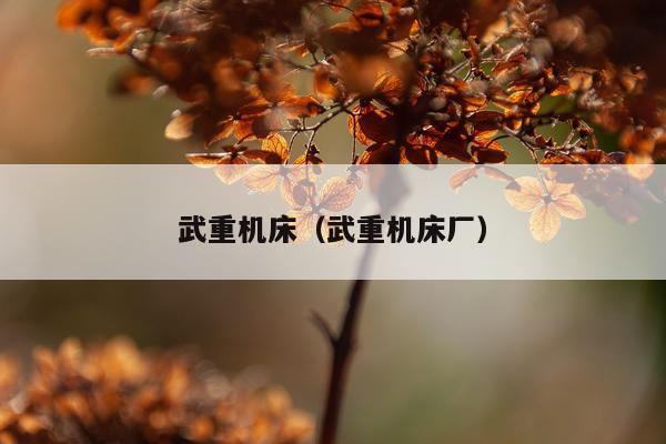武重机床（武重机床厂）