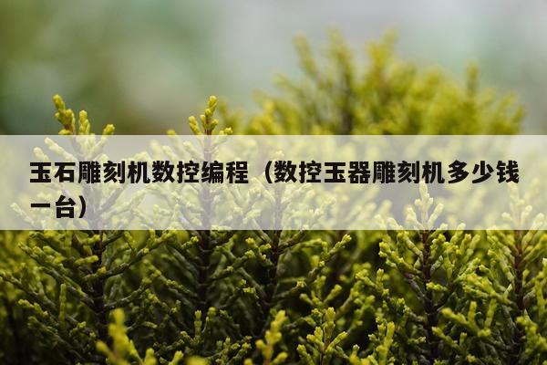 玉石雕刻机数控编程（数控玉器雕刻机多少钱一台）