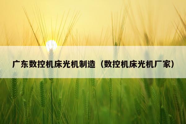 广东数控机床光机制造（数控机床光机厂家）