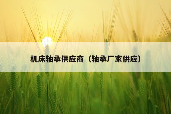 机床轴承供应商（轴承厂家供应）