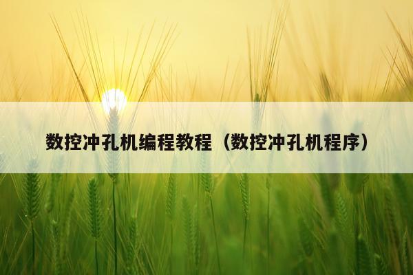 数控冲孔机编程教程（数控冲孔机程序）