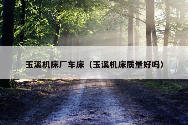 玉溪机床厂车床（玉溪机床质量好吗）