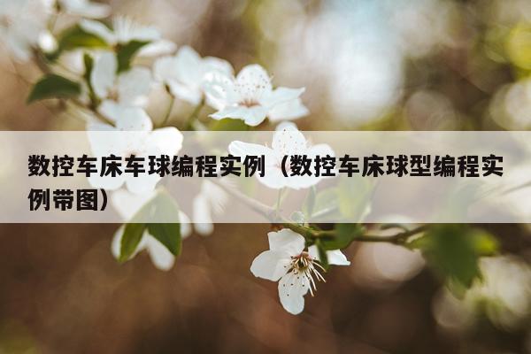 数控车床车球编程实例（数控车床球型编程实例带图）