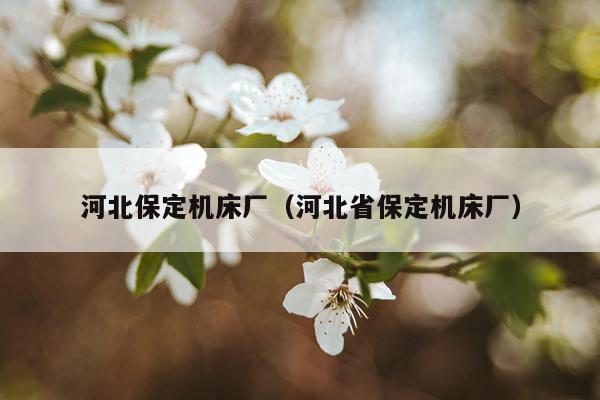 河北保定机床厂（河北省保定机床厂）