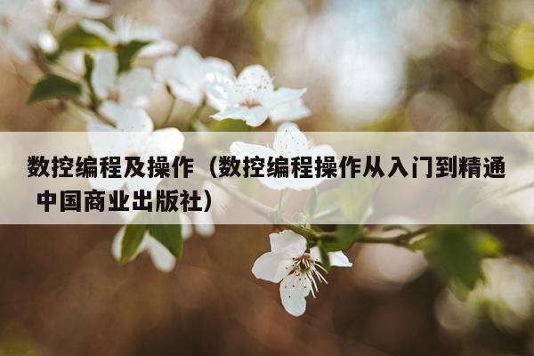 数控编程及操作（数控编程操作从入门到精通 中国商业出版社）