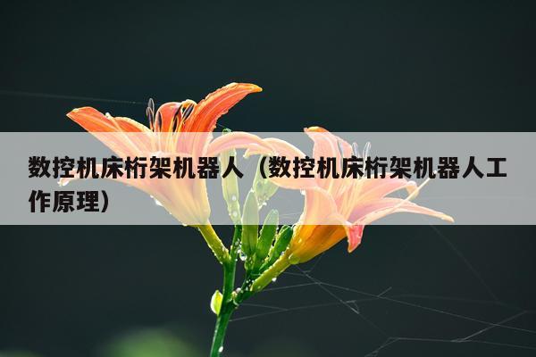 数控机床桁架机器人（数控机床桁架机器人工作原理）