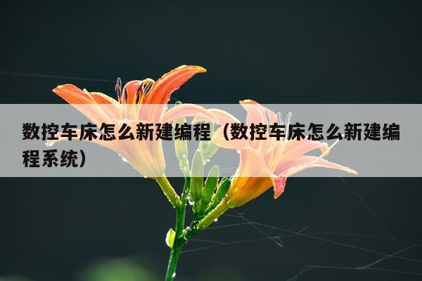数控车床怎么新建编程(数控车床怎么新建编程系统)