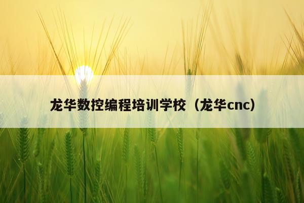 龙华数控编程培训学校(龙华cnc)