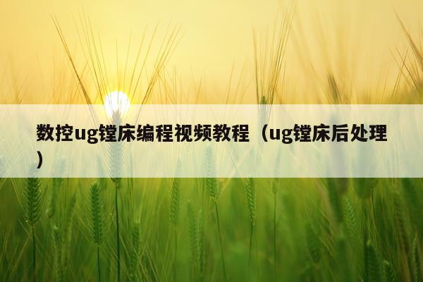 数控ug镗床编程视频教程(ug镗床后处理)