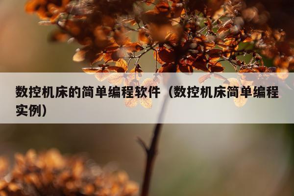 数控机床的简单编程软件（数控机床简单编程实例）