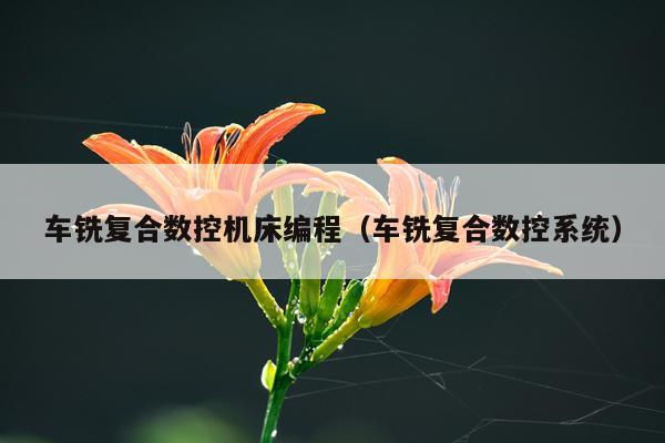 车铣复合数控机床编程（车铣复合数控系统）