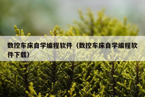 数控车床自学编程软件（数控车床自学编程软件下载）