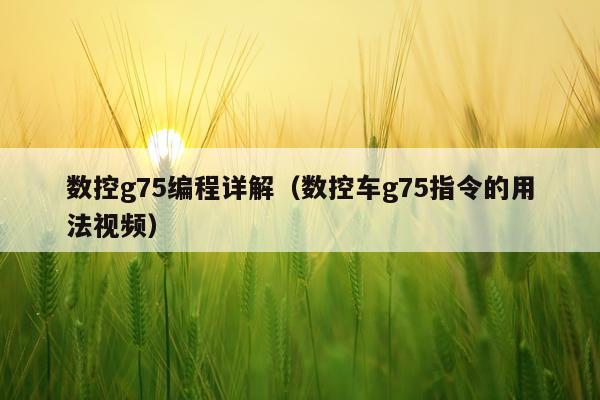 数控g75编程详解（数控车g75指令的用法视频）