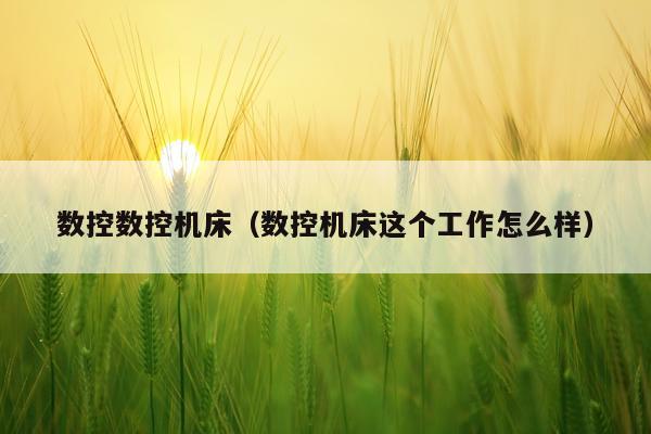 数控数控机床(数控机床这个工作怎么样)