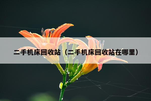 二手机床回收站（二手机床回收站在哪里）