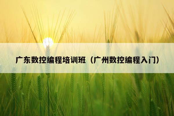 广东数控编程培训班（广州数控编程入门）