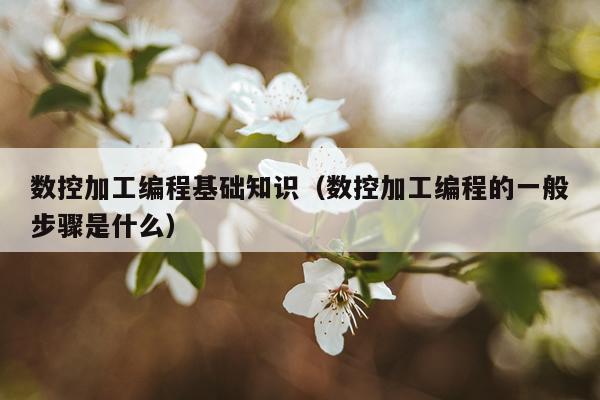 数控加工编程基础知识（数控加工编程的一般步骤是什么）