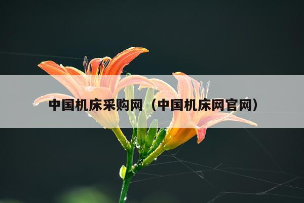 中国机床采购网（中国机床网官网）