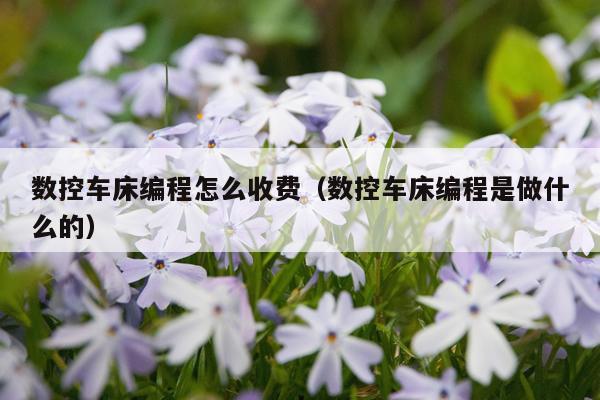 数控车床编程怎么收费（数控车床编程是做什么的）
